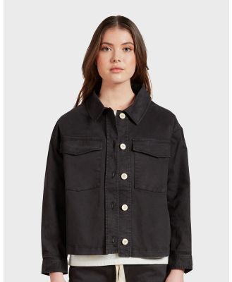 Academy Brand - Standard Jacket - Coats & Jackets (BLACK) Standard Jacket