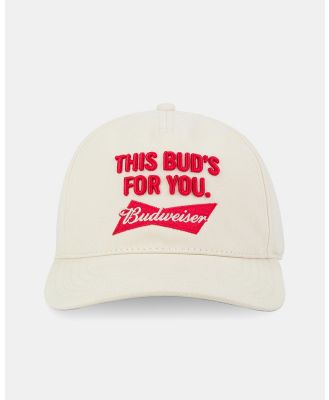 American Needle - This Buds for You Coachella Curve Cap - Headwear (Ivory) This Buds for You Coachella Curve Cap