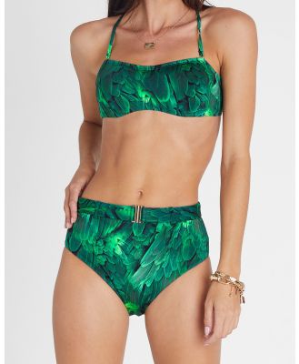 Aqua Blu Australia - Hummingbird Marilyn High Waist Pant - Bikini Bottoms (Multi) Hummingbird Marilyn High Waist Pant