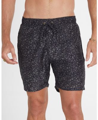 Aqua Blu Australia - Ocelot Taylor Shorts - Shorts (Multi) Ocelot Taylor Shorts