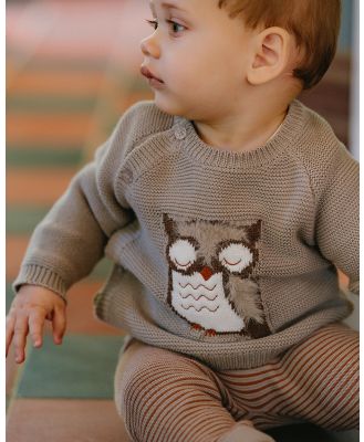 Bebe by Minihaha - Eli Owl Knitted Jumper - Jumpers & Cardigans (MOCHA) Eli Owl Knitted Jumper