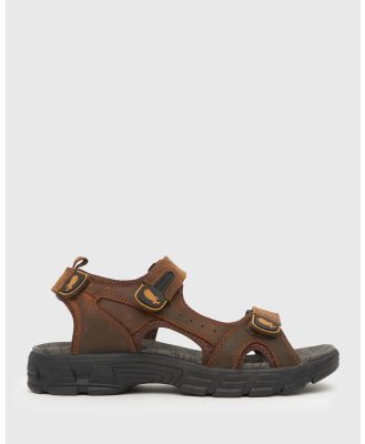 Betts - Dakota Wander Leather Sports Sandals - Casual Shoes (Brown) Dakota Wander Leather Sports Sandals