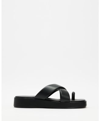 Billini - Callen Sandals - Flats (Black) Callen Sandals