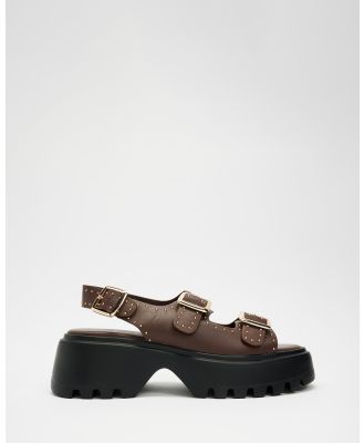 Billini - Luma Sandals - Flats (Cocoa) Luma Sandals