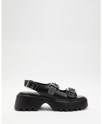 Billini - Luma Sandals - Sandals (Black) Luma Sandals