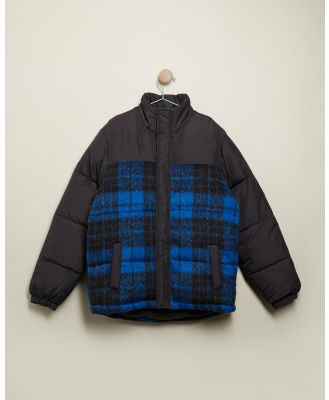 Cotton On Kids - Frederick Puffer Jacket   Teens - Coats & Jackets (Blue Punch & Check) Frederick Puffer Jacket - Teens