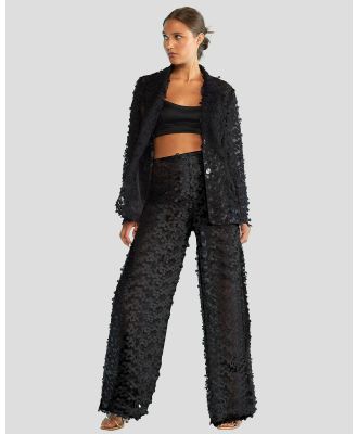 Cynthia Rowley - Lace Blazer - Coats & Jackets (BLACK) Lace Blazer