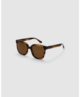 Daniel Wellington - Grande Acetate Brown Sunglasses - Square (Brown) Grande Acetate Brown Sunglasses