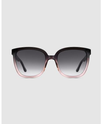 Daniel Wellington - Grande Acetate Coral Black Sunglasses - Square (Coral & Black) Grande Acetate Coral-Black Sunglasses
