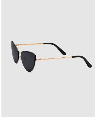 Daniel Wellington - Lynx Steel Sunglasses - Sunglasses (Black) Lynx Steel Sunglasses