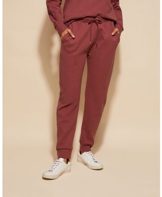 dk active - Teddy Track Pant - Track Pants (Wine) Teddy Track Pant