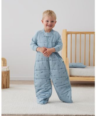 ergoPouch - Sleep Suit Bag 2.5 TOG   Babies Kids - Sleeping bags (Dragonflies) Sleep Suit Bag 2.5 TOG - Babies-Kids