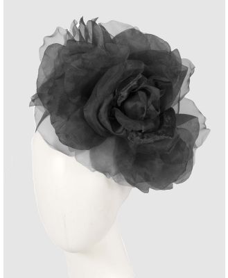 Fillies Collection - Large Flower Fascinator Headband - Fascinators (Black) Large Flower Fascinator Headband