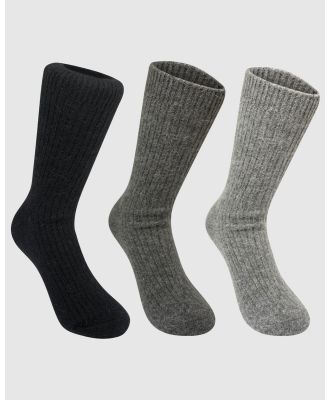High Heel Jungle - Luxe Cashmere Sock Gift Set Of Three - Socks & Tights (3 PACK CASH-NEUTRAL) Luxe Cashmere Sock Gift Set Of Three