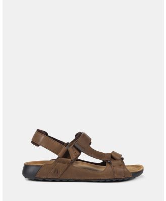 Hush Puppies - Heath - Sandals (Brown) Heath