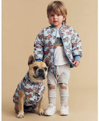 Huxbaby - Dino Dog Reversible Bomber Jacket   Babies Kids - Coats & Jackets (Mountain Blue) Dino Dog Reversible Bomber Jacket - Babies-Kids