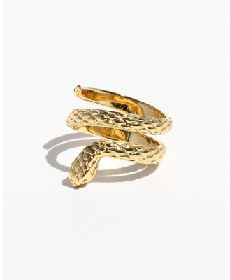 Jackie Mack - Wisdom Spiral Ring - Jewellery (Gold) Wisdom Spiral Ring
