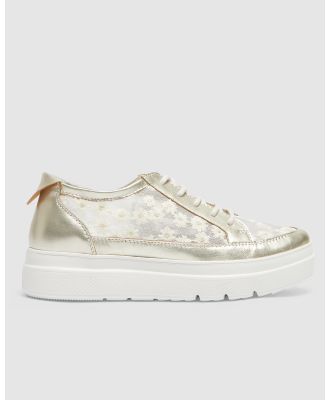 Jane Debster - Benny - Lifestyle Sneakers (GOLD) Benny