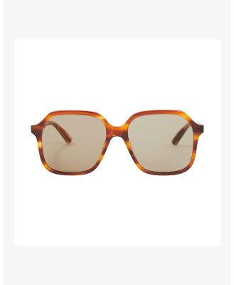 Local Supply - 2105 Sunglasses - Square (brown) 2105 Sunglasses