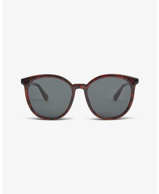 Local Supply - CNS Sunglasses - Polarised (red-brown) CNS Sunglasses