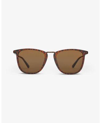 Local Supply - NYC Sunglasses - Square (red-brown) NYC Sunglasses