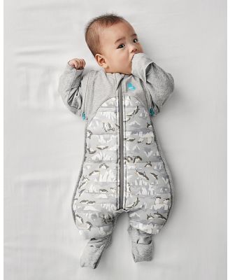 Love to Dream - Swaddle Up Trans Suit 3.5T - Nursery (Grey) Swaddle Up Trans Suit 3.5T