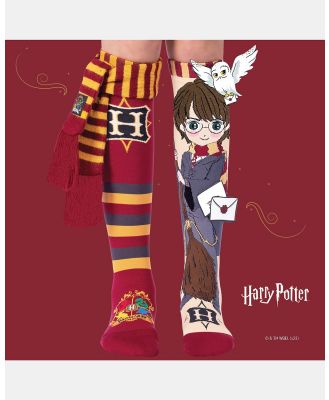 MADMIA - Harry Potter Socks   Kids Teens - Socks & Tights (Multi) Harry Potter Socks - Kids-Teens