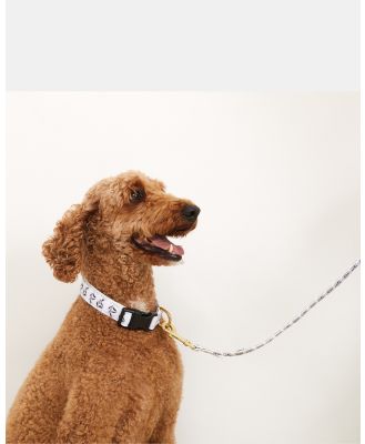 Mog & Bone - Hemp Dog Collar & Lead   Shadow Quartz - Home (White) Hemp Dog Collar & Lead - Shadow Quartz