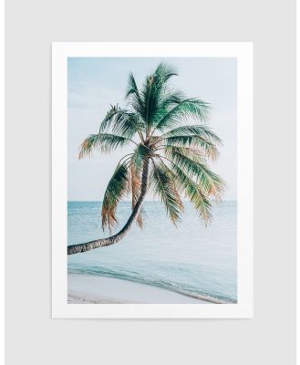 Olive et Oriel - Maldivian Palm I Art Print - Home (Maldivian Palm I Art Print) Maldivian Palm I Art Print