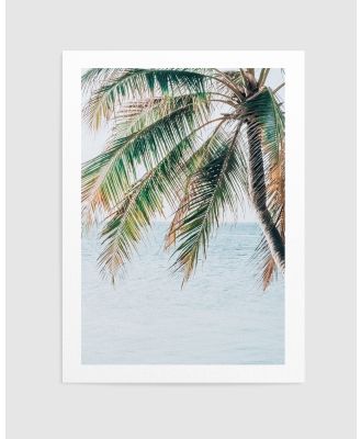 Olive et Oriel - Maldivian Palm II Art Print - Home (Maldivian Palm II Art Print) Maldivian Palm II Art Print
