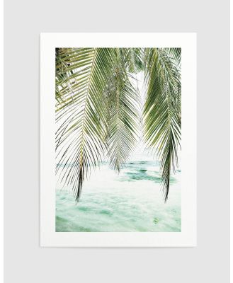 Olive et Oriel - Seaside Palm Art Print - Home (Seaside Palm Art Print) Seaside Palm Art Print
