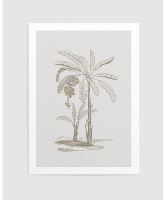 Olive et Oriel - Vintage Palm I Art Print - Home (Vintage Palm I Art Print) Vintage Palm I Art Print