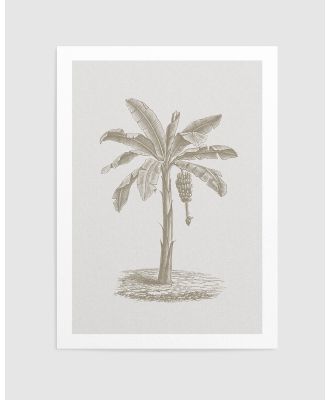 Olive et Oriel - Vintage Palm II Art Print - Home (Vintage Palm II Art Print) Vintage Palm II Art Print
