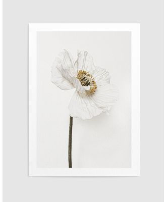 Olive et Oriel - White Poppy II Art Print - Home (White Poppy II Art Print) White Poppy II Art Print