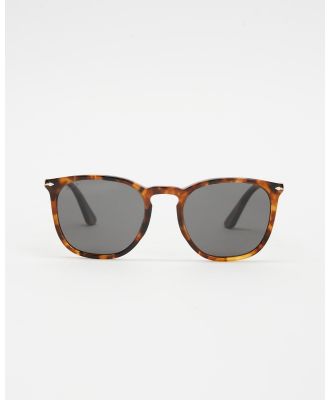 Persol - 0PO3316S0 - Square (Havana) 0PO3316S0