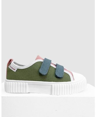 Piccolini - Limited Edition Low Top - Sneakers (Multi) Limited Edition Low Top
