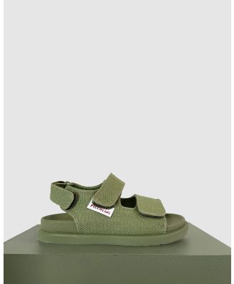 Piccolini - Original Sandal - Sandals (Green) Original Sandal