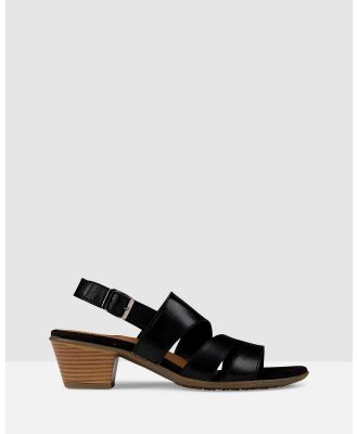Planet Shoes - Cathryn Comfort Heel - Heels (Black) Cathryn Comfort Heel