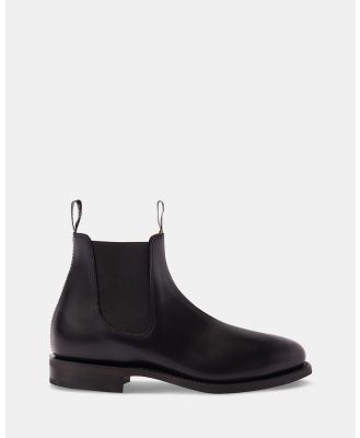 R.M.Williams - Moriarty Chelsea Boots   Women's - Boots (Chocolate Raisin) Moriarty Chelsea Boots - Women's