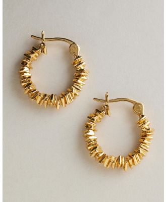 Reliquia Jewellery - Paisley Earrings - Jewellery (Gold) Paisley Earrings