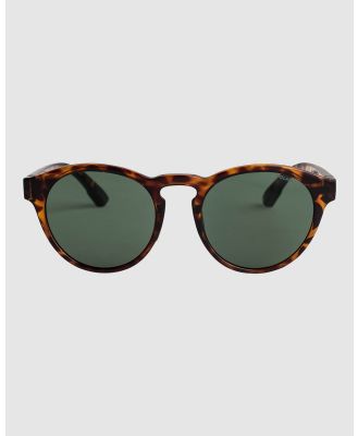 Roxy - Ivi P   Polarized Sunglasses For Women - Sunglasses (TORTOISE BROWN/GREEN PLZ) Ivi P   Polarized Sunglasses For Women