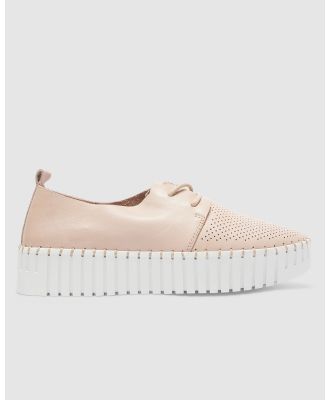 Sandler - Central - Lifestyle Sneakers (BLUSH) Central