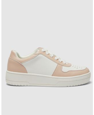 Sandler - Fraser - Sneakers (WHITE) Fraser