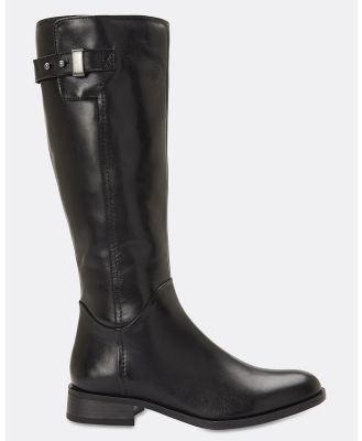 Sandler - Jenna - Knee-High Boots (BLACK) Jenna