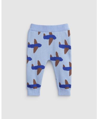 Seed Heritage - Planes Knit Pant - Jumpers & Cardigans (Blue Jay) Planes Knit Pant