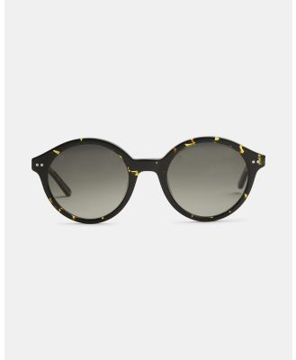 SITO Shades - Dixon   Polarised - Sunglasses (Limeade Tort) Dixon - Polarised