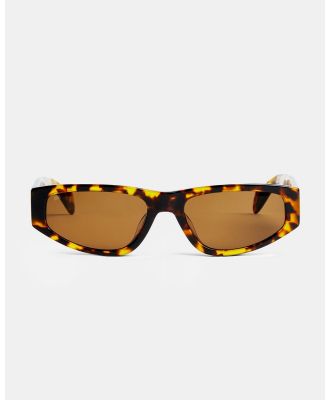 SITO Shades - Elroy   Polarised - Sunglasses (Tortie Polarised) Elroy - Polarised
