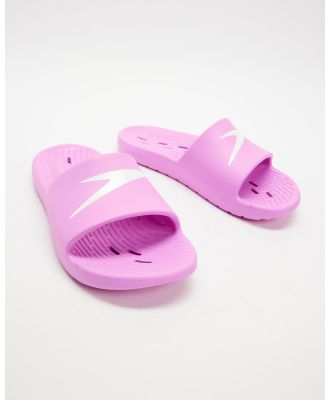 Speedo - Speedo Slide Junior   Kids - Sandals (Neon Violet) Speedo Slide Junior - Kids