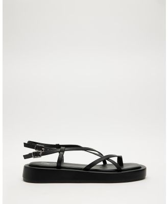 SPURR - Paddy Flatform Sandals - Sandals (Black) Paddy Flatform Sandals