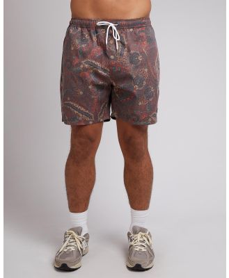 St Goliath - Temple Shorts - Shorts (Multicoloured) Temple Shorts